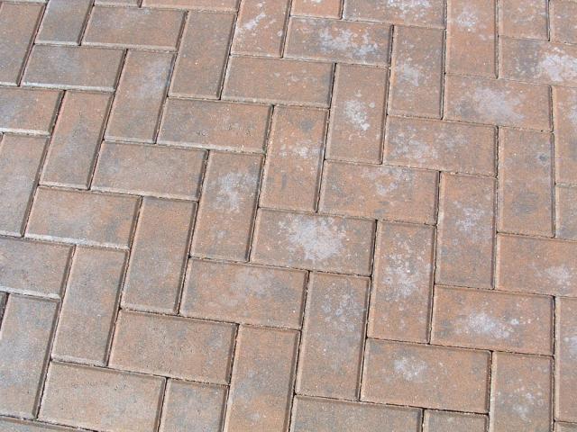 Brick pavers with patchy white efflorescence residue